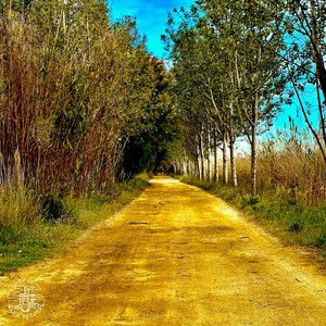 Second Nature