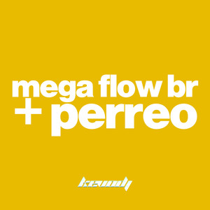 Mega Flow BR + Perreo (Remix)