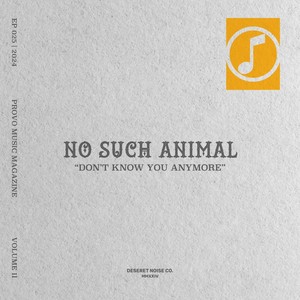 Don't Know You Anymore (Live)