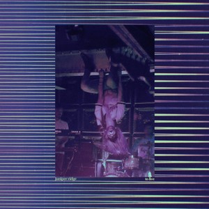 blue dream (sanctuary 2023)