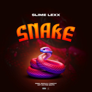 SNAKE (Explicit)