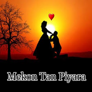 Mekon Tan Piyara