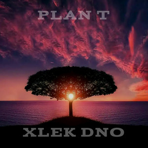 Plan T