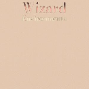 Wizard Environments