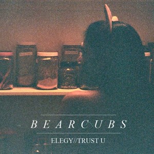 Elegy//Trust U