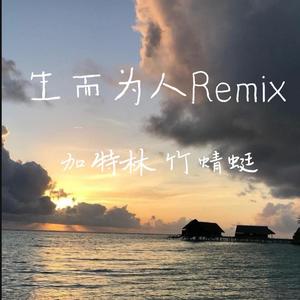 生而为人Remix