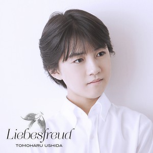 Piano Sonata No. 7 in B flat, Op. 83 - Prokofiev: ピアノ・ソナタ 第7番 変ロ長調 作品83《戦争ソナタ》: 第3楽章: Precipitato