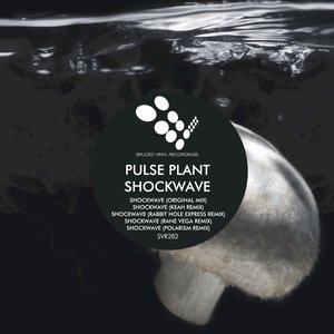 Shockwave (Rane Vega Remix)
