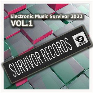 Music is the answer (Original Mix)