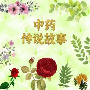 喜俩宝 - 五味子