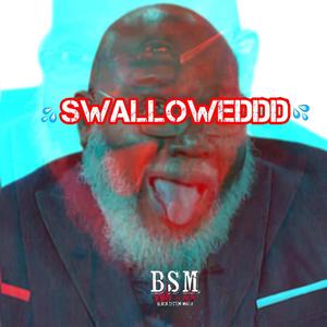 SWALLOWEDDD (Explicit)