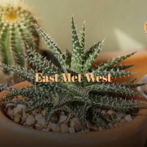 East Met West