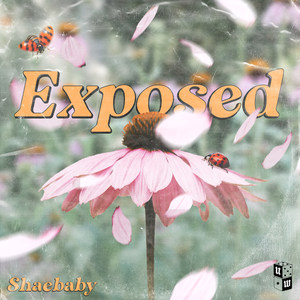 Exposed (Explicit)