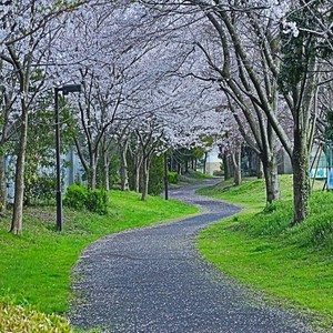 奥能登まだ冬さなか