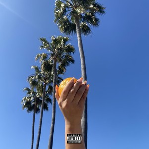 Just Another Sunny Day (Explicit)