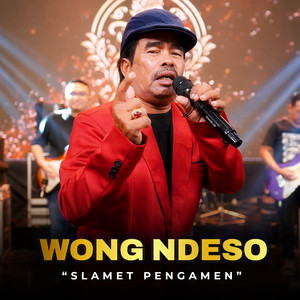 Wong Ndeso