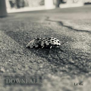 DOWNFALL (Explicit)