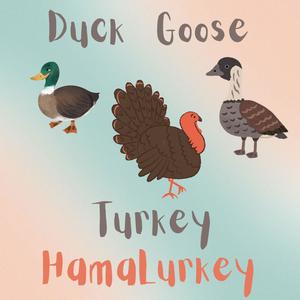 Duck Goose Turkey HamaLurkey