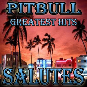 Pitbull Greatest Hits (Salutes)