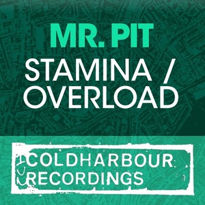 Stamina (Original Mix)