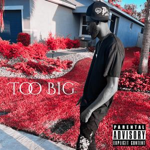 Too Big (Explicit)