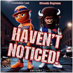 Haven't Noticed (Explicit)