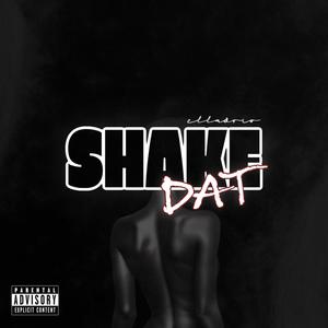 SHAKE DAT (Explicit)