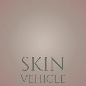 Skin Vehicle