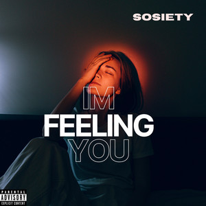 I'm Feeling You (Explicit)