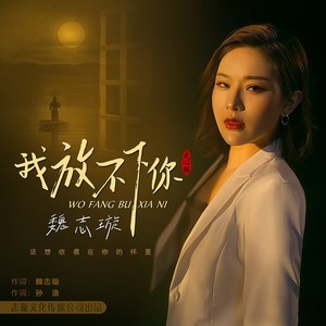 我放不下你 (走心版伴奏)