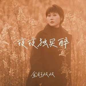 夜夜独买醉