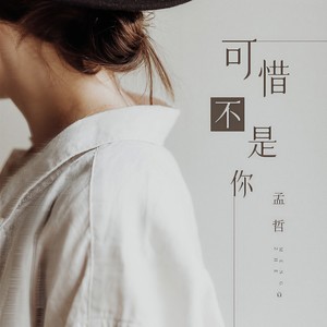 可惜不是你