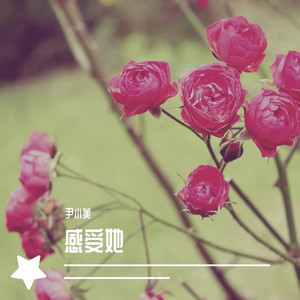 画离弦