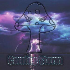 Coming Storm wav
