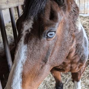 All My Friends Are Crazy!