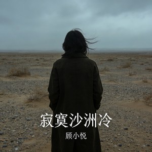 寂寞沙洲冷-顾小悦