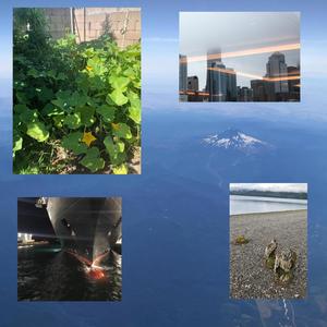 Gabe Moon - until im gone