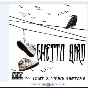 Ghetto Birds (Explicit)