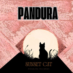 Sunset Cat