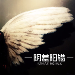 阴差阳错