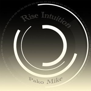 Rise Intuition