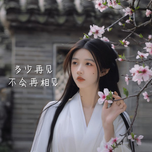 多少再见不会再相见