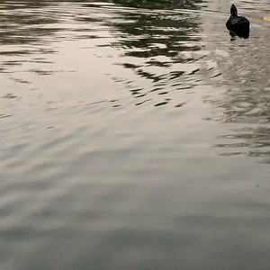 Find A Way ! (Explicit)