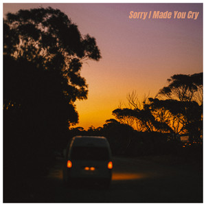 Sorry I Made You Cry