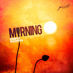 Morning