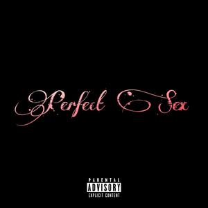 Perfect Sex (Explicit)
