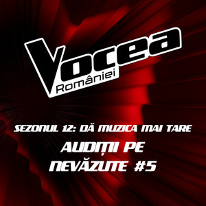 Vocea României: Audiții pe nevăzute #5 (Sezonul 12 - Dă muzica mai tare) (Live)