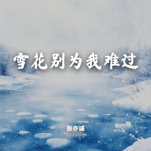 雪花别为我难过-张亦诚