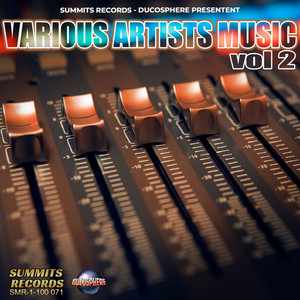 Various Music artists Vol 2 - Summits Records - Ducosphere présentent