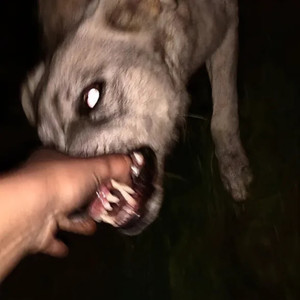 纯口水旋律vol.4